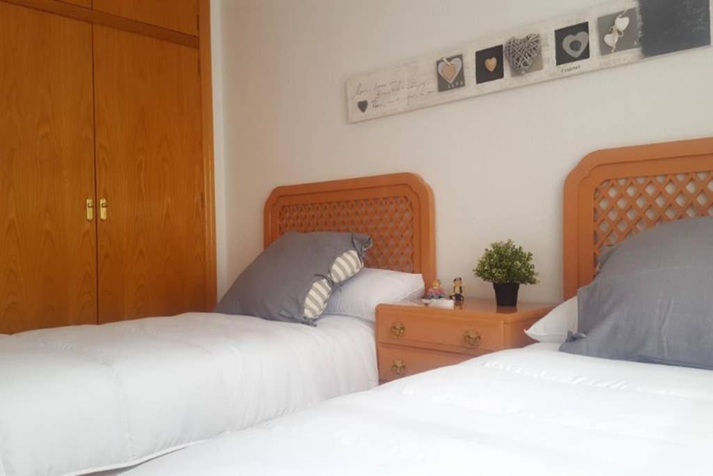 Encantador Apartamento En El Centro Apartment Alicante Ngoại thất bức ảnh